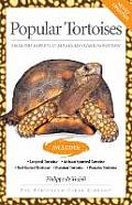 Popular Tortoises From the Experts at Advanced Vivarium Systems