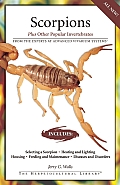 Scorpions & Other Invertebrates