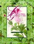 Scented Geraniums Knowing Growing & Enjoying Scented Pelargoniums