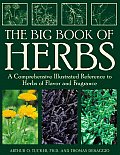 Big Book Of Herbs A Comprehensive Illustrated Reference to Herbs of Flavor & Fragrance