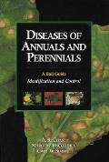 Diseases Of Annuals & Perennials