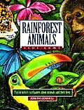 Rainforest Animals Clue Game Playful Nature Card Games about Amimals & Their Lives