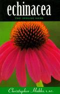 Echinacea The Immune Herb