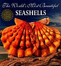 Worlds Most Beautiful Seashells