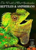 Worlds Most Spectacular Reptiles & Amphibians