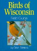 Birds Of Wisconsin