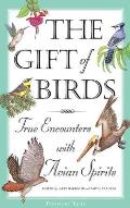 Gift of Birds True Encounters with Avian Spirits