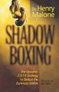 Shadow Boxing The Dynamic 2514 Strategy to Defeat the Darkness Within