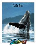 Whales Zoobooks