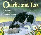 Charlie & Tess Sheepdog in the snow