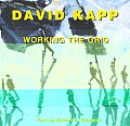 David Kapp Working the Grid Paintings 1980 2000