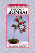 Indoor Bonsai How To Succeed With Bonsai