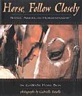 Horse Follow Closely Native American Horsemanship