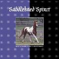 Saddlebred Spirit