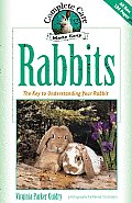 Rabbits The Key To Understanding Your Rabbit