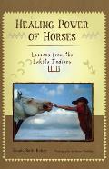Healing Power of Horses Lessons from the Lakota Indians