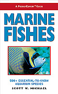 Marine Fishes 500 Essential To Know Aquarium Species