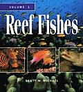 Reef Fishes A Guide to Their Identification Behavior & Captive Care Volume 1