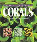 Aquarium Corals Selection Husbandry
