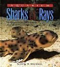 Aquarium Sharks & Rays An Essential Guide to Their Selection Keeping & Natural History