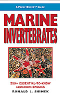 Marine Invertebrates 500 Essential To Know Aquarium Species
