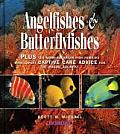 Angelfishes & Butterflyfishes