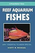 Reef Aquarium Fishes 500 Essential To Know Species