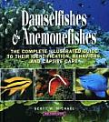 Damselfishes & Anemonefishes The Complete Illustrated Guide to Their Identification Behaviors & Captive Care
