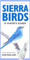 Sierra Birds A Hikers Guide