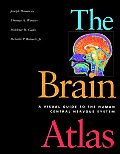 Brain Atlas A Visual Guide To The Human Cent