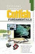 Catfish Fundamentals 1 Foundation for Sustained Fishing Success