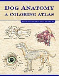 Dog Anatomy A Coloring Atlas