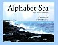 Alphabet Sea
