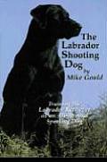 Labrador Shooting Dog Training The Labra
