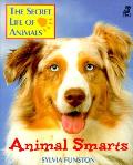 Animal Smarts