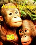Animal Feelings