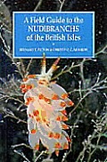 Field Guide to the Nudibranchs of the British Isles