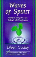 Waves Of Spirit Practical Ways To Face