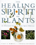 Healing Spirit Of Plants A Practical Guide