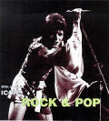 20th Century Icons Rock & Pop