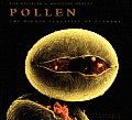 Pollen The Hidden Sexuality Of Flowers