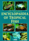 Encyclopedia Of Tropical Fish