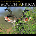 Photo Safari Companion On South Africa