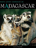 Photo Safari Companion On Madagascar