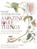 Amazing Rare Things The Art Of Natural History in the Age of Discovery