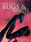 Natural World Of Bugs & Insects