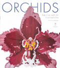 Orchids From The Archives Of The Royal H
