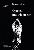 Gypsies & Flamenco The Emergence of the Art of Flamenco in Andalusia Interface Collection Volume 6
