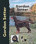 Gordon Setter