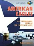American Eagles American Volunteers In
